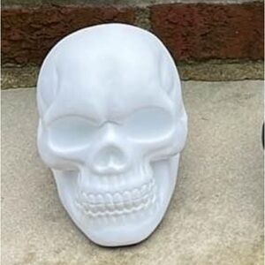 Skull